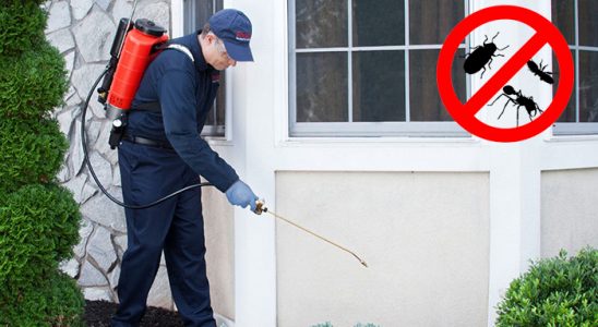 Çeşme Gümüşkurt İlaçlama böcek ilaçlama ve haşere kontrolü — ilaclama-tr.com